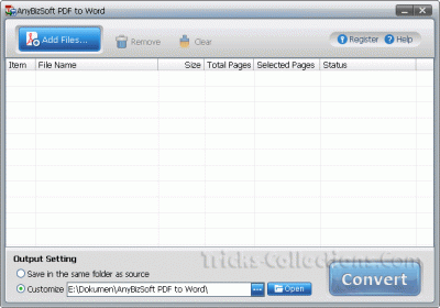 AnyBizSoft PDF to Word Converter 3