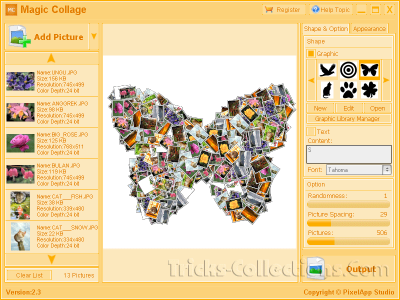 Magic Collage Software