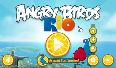 Angry Bird Rio for PC