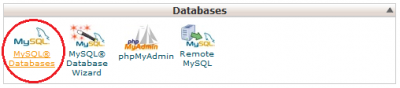 MYSQL Database